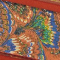 261-249-2